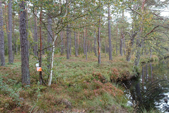 image: Naturpassavslutning Tulseboda myrar