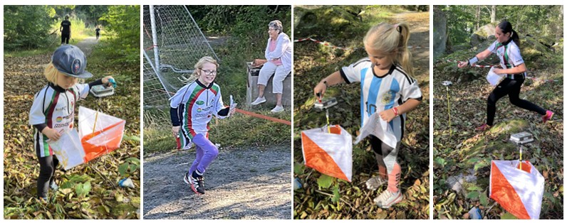 image: Vi nådde inte ända fram...