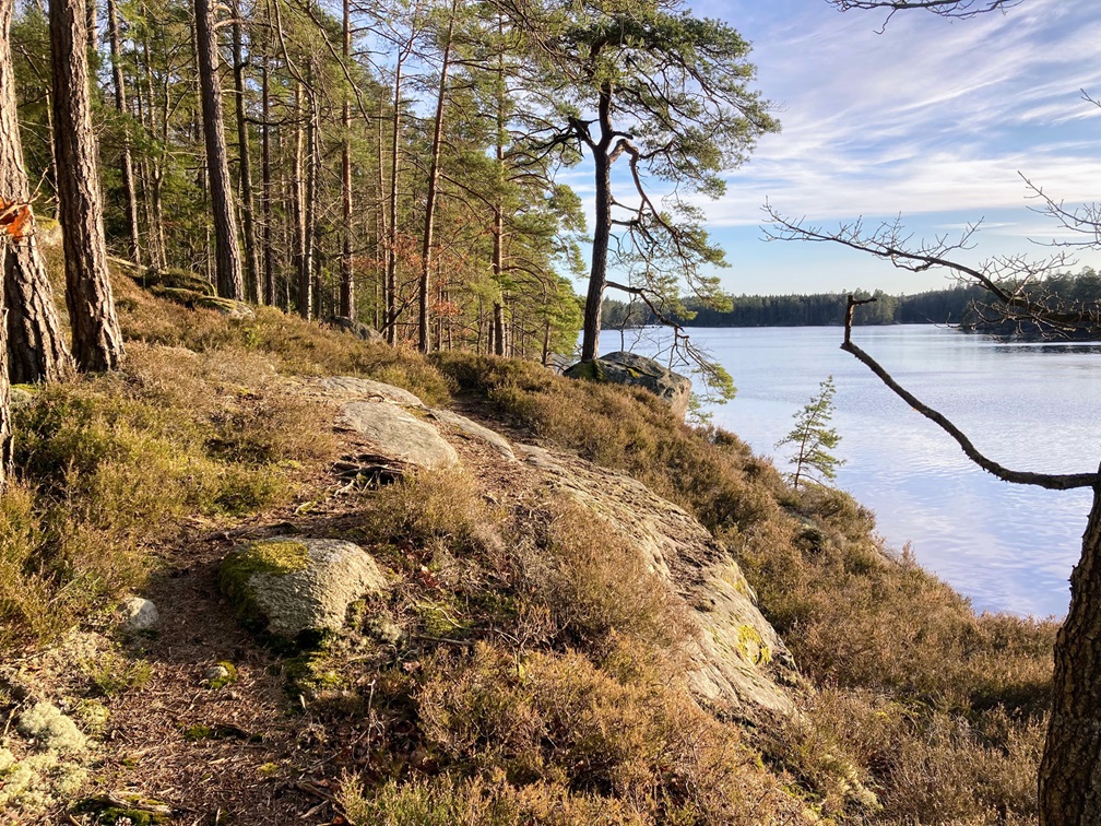 image: Vårens Naturpass